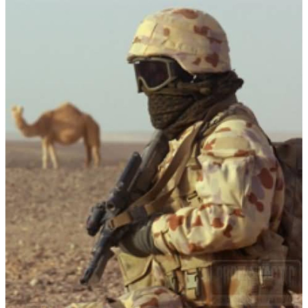 ESS Land Ops pieskové + speed sleeve